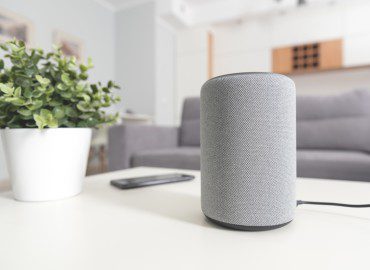 intelect smart home speaker